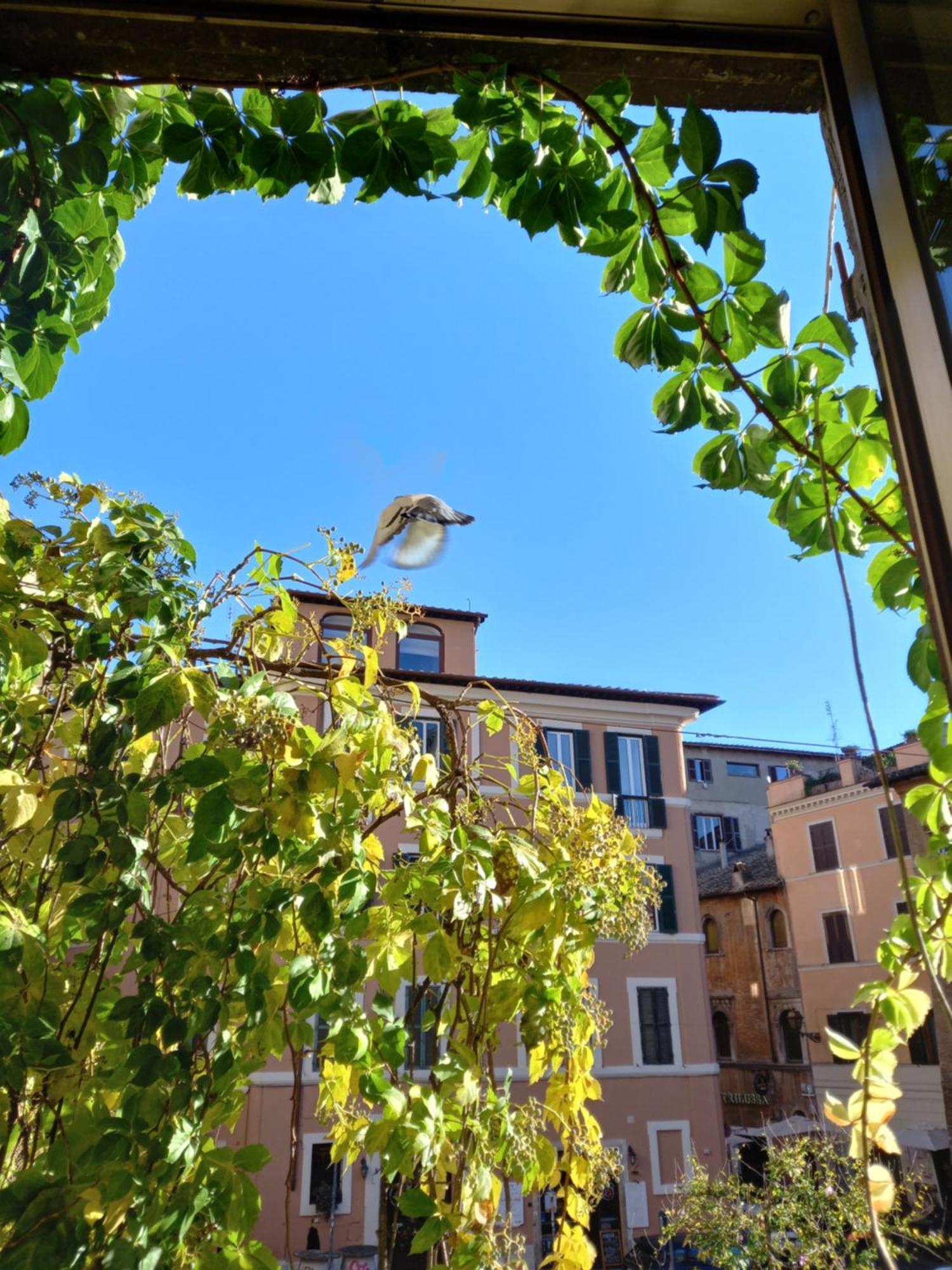 Central Apartment In Trastevere Rome Bilik gambar